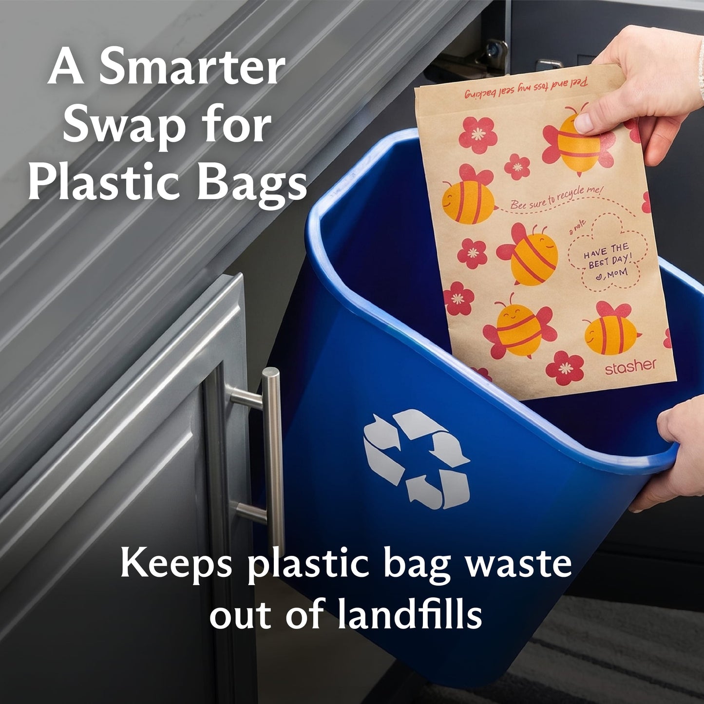 Recyclable Paper Sandwich Bags 50ct