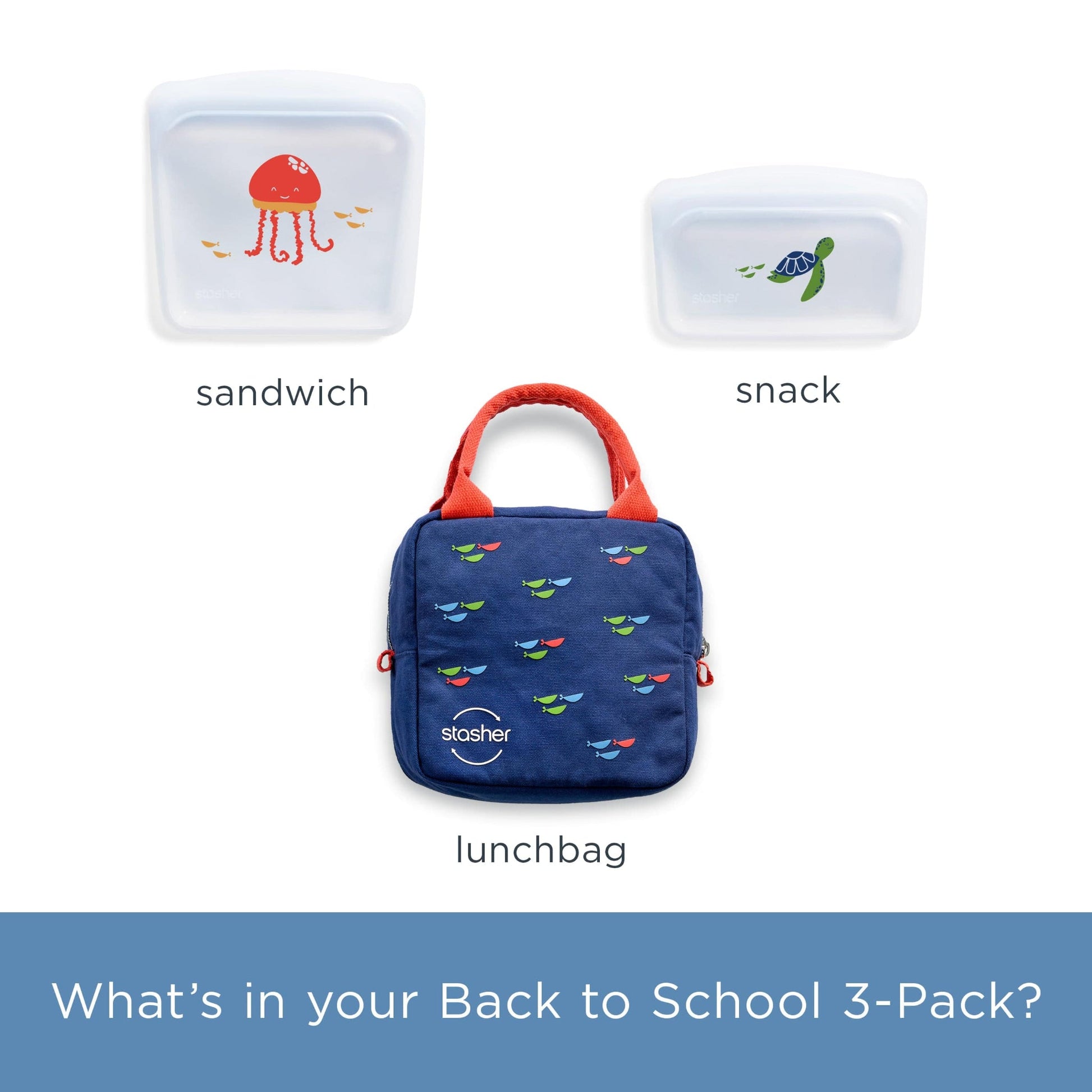Back to School Lunch 3-Pack
