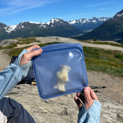 Sandwich Bag