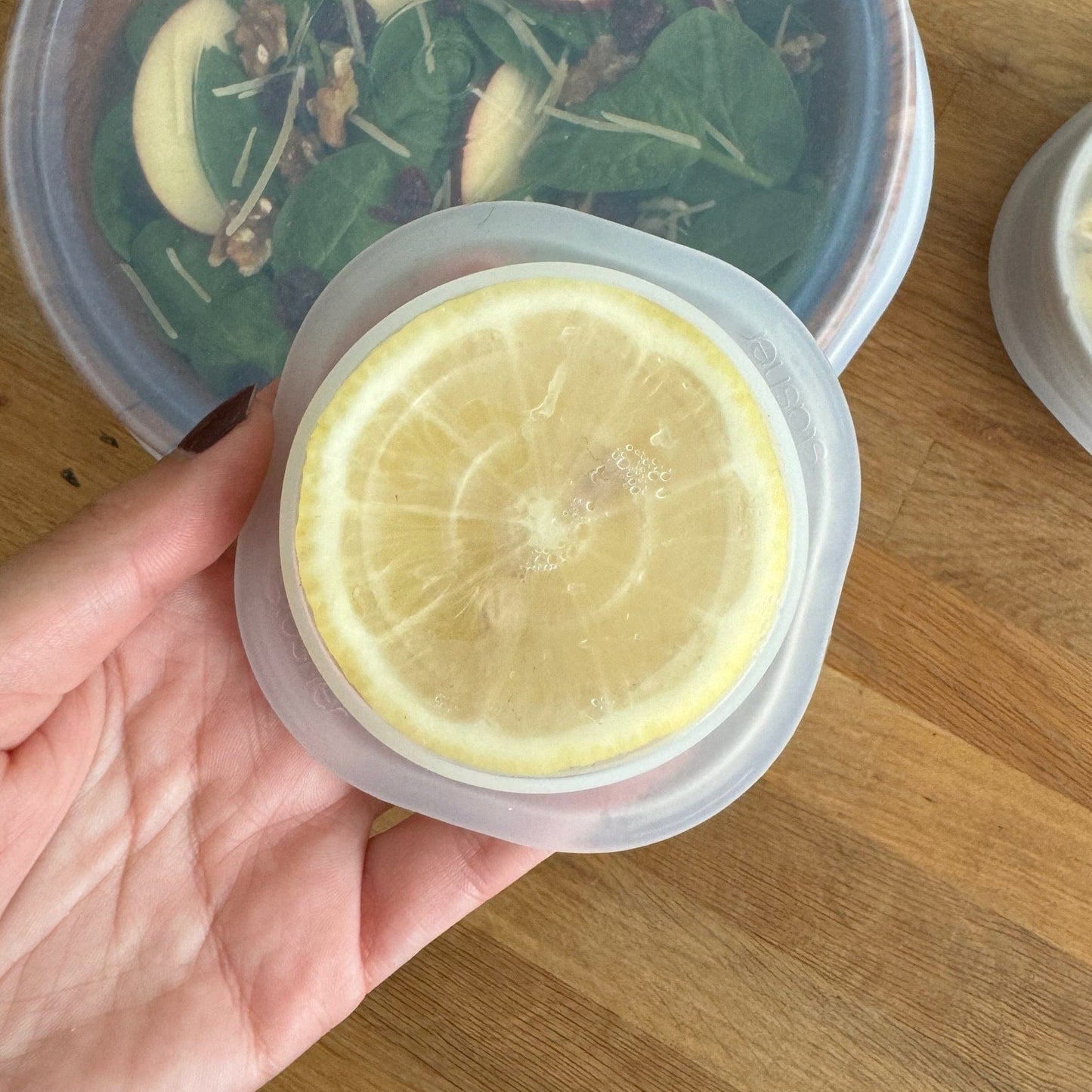 Small Circle Stretch Lids 3-Pack