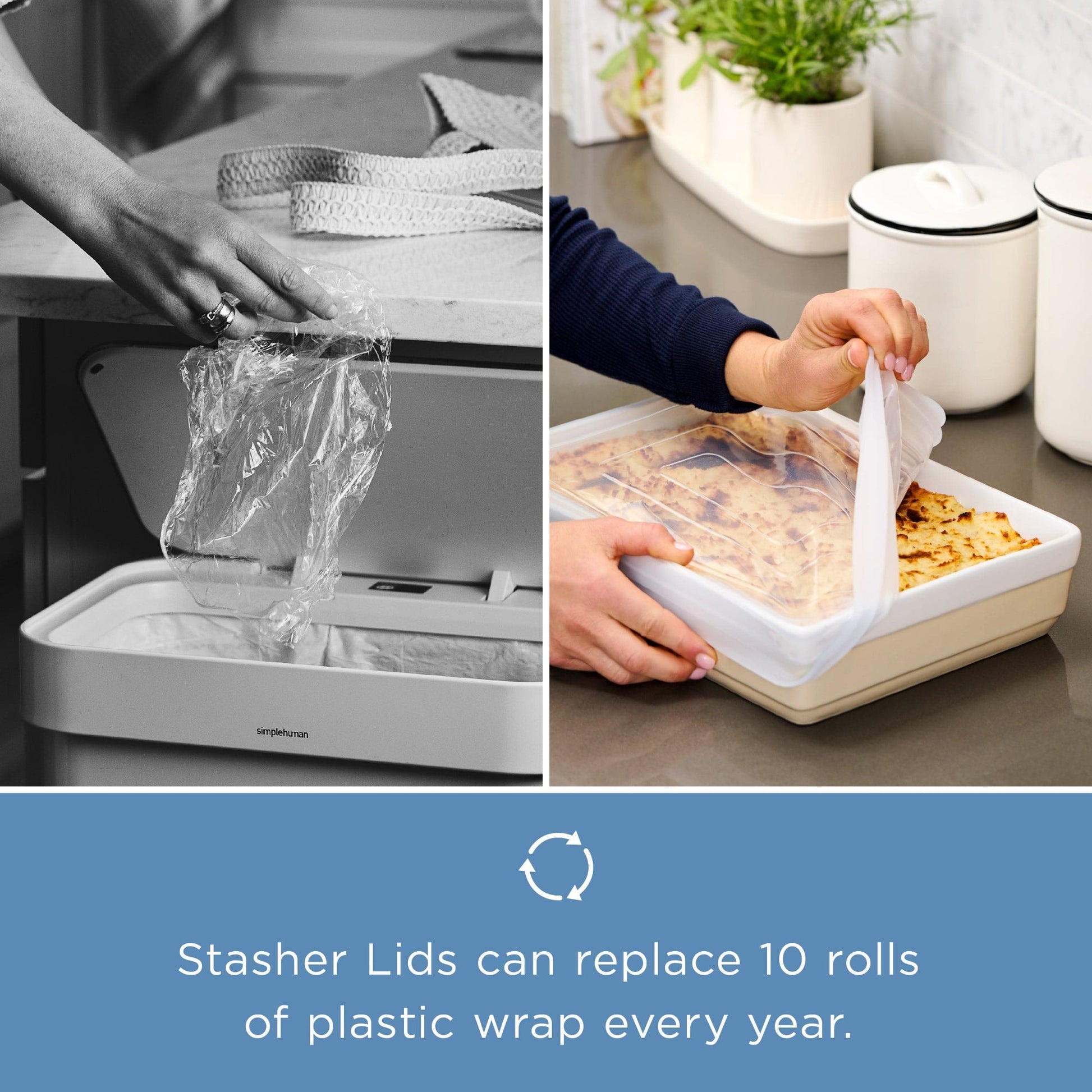 Rectangle 9x13 Stretch Lid