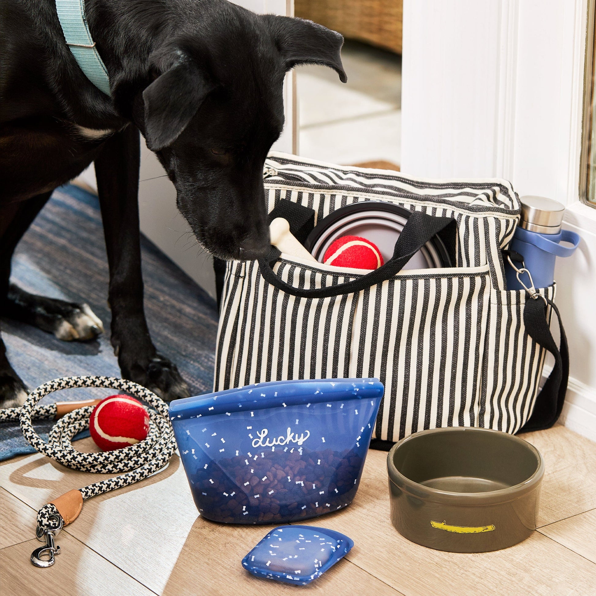 Pet Food Storage 5-Pack