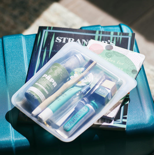 Travel Quart Bag