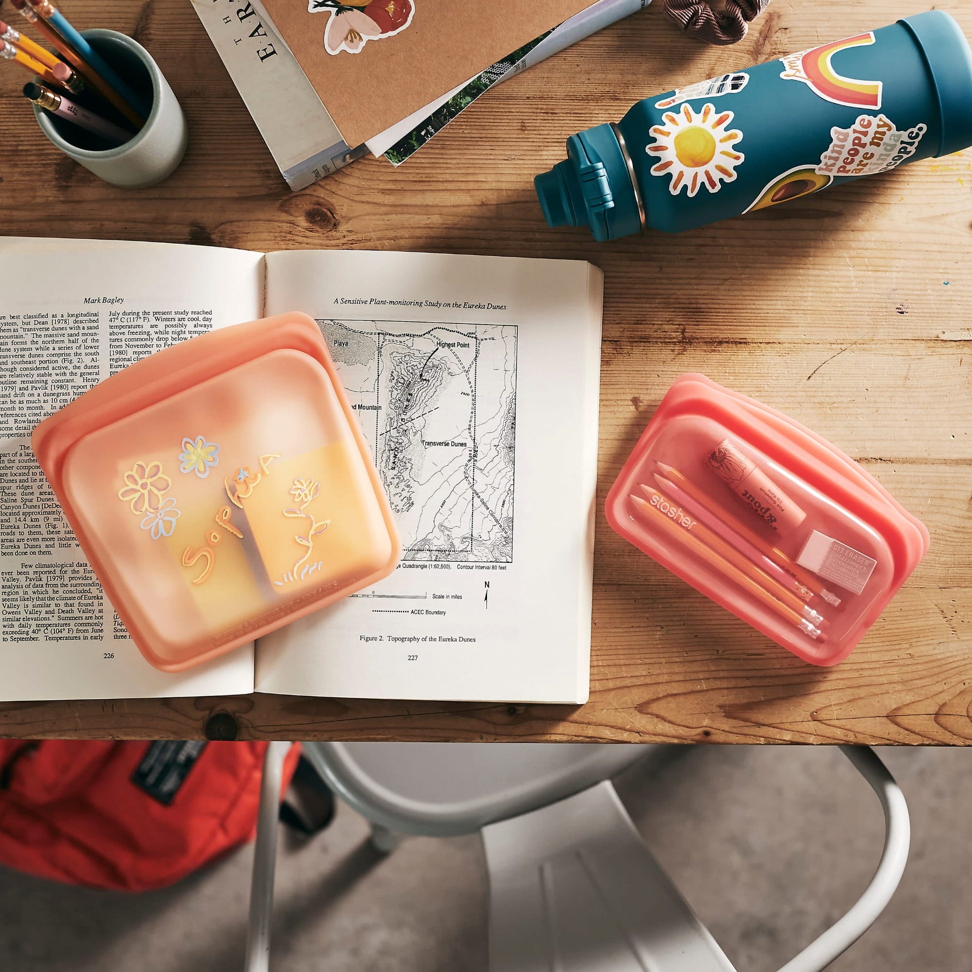 Snack Bag