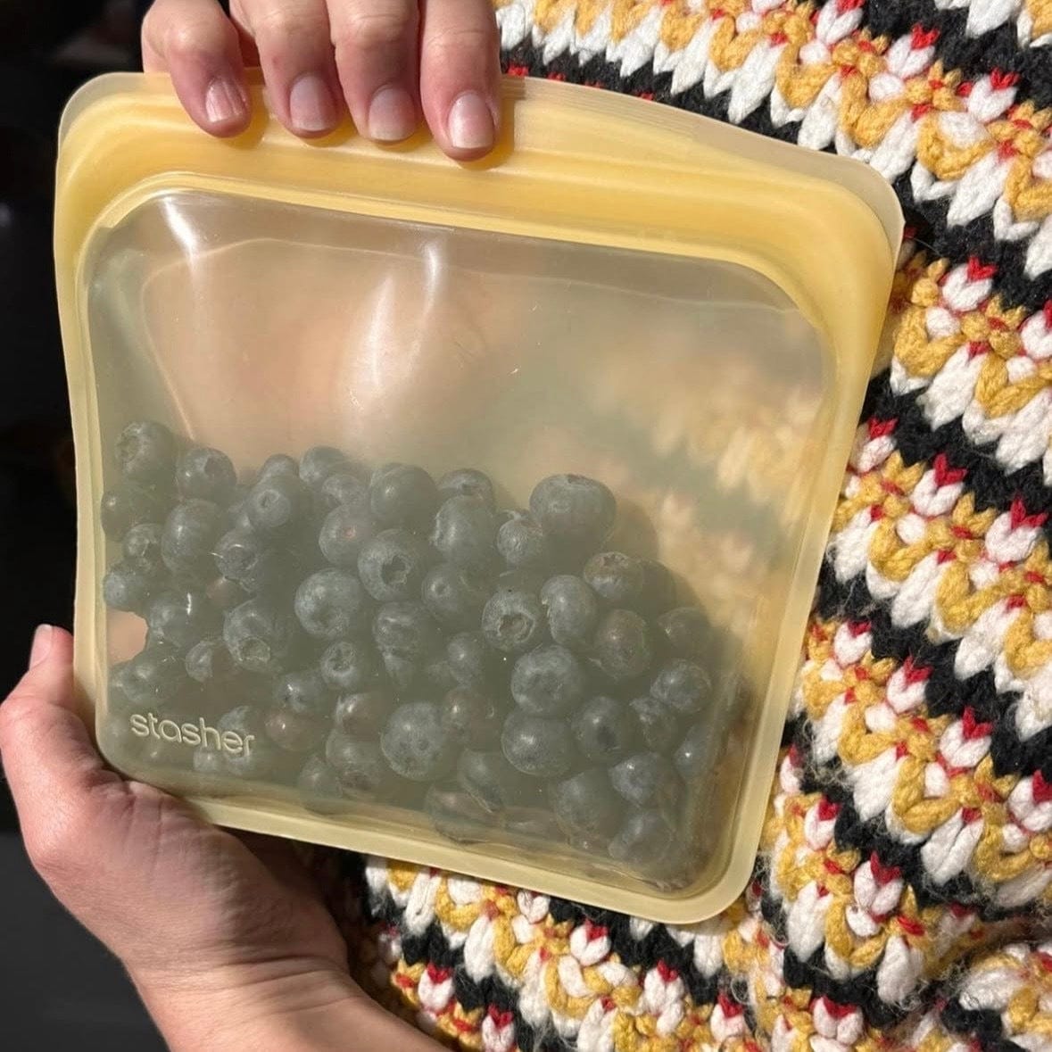 Sandwich Bag